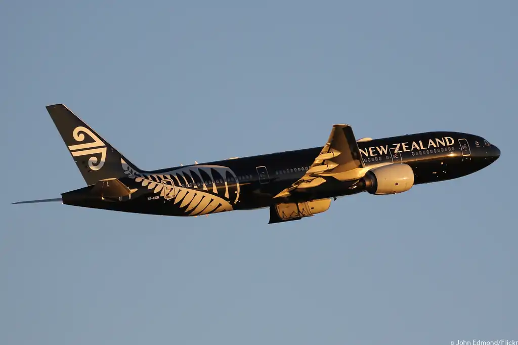 Air New Zealand's H1 2024 Earnings Dip Amid Travel Trends